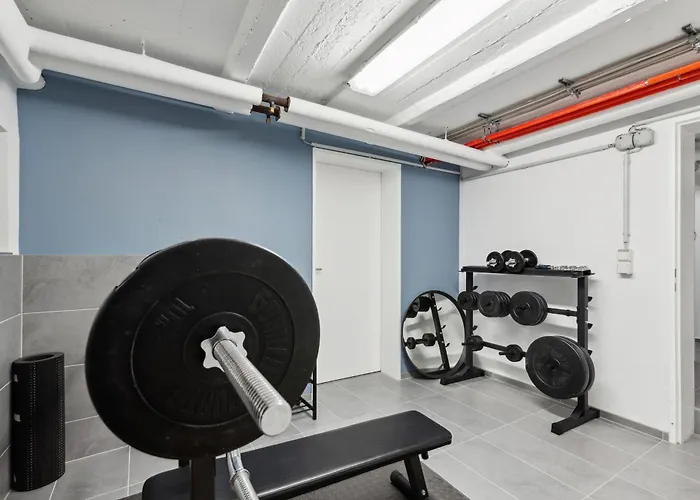 Modern Living - Basf - Ma - Pfalz - 1 Gym 2 Working Spaces Appartement Ludwigshafen am Rhein